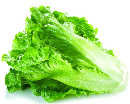 Système d'inspection aux rayons X de 10 à 70 m/min de vitesse pour les matières étrangères des aliments à base de fruits et légumes