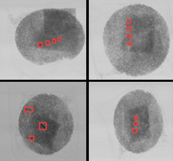 Système d'inspection par rayons X pour la détection de matières étrangères dans les nouilles instantanées/noodles en tasse emballées